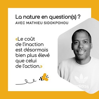 Mathieu Sidokpohou ADIDAS pour Beebuzz - La Nature en Questions